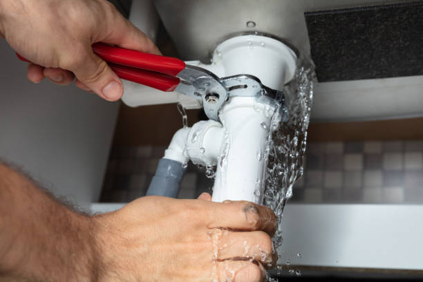 Best Water damage restoration near me  in Richmond, MI