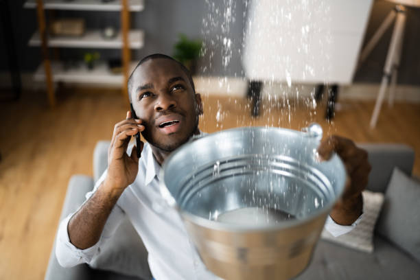 Best Water damage cleanup near me  in Richmond, MI