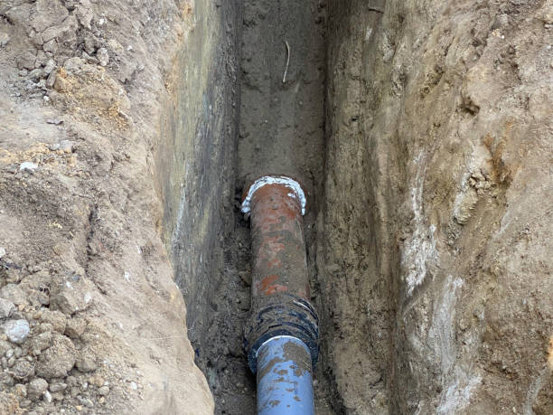 Best 24/7 water damage repair  in Richmond, MI
