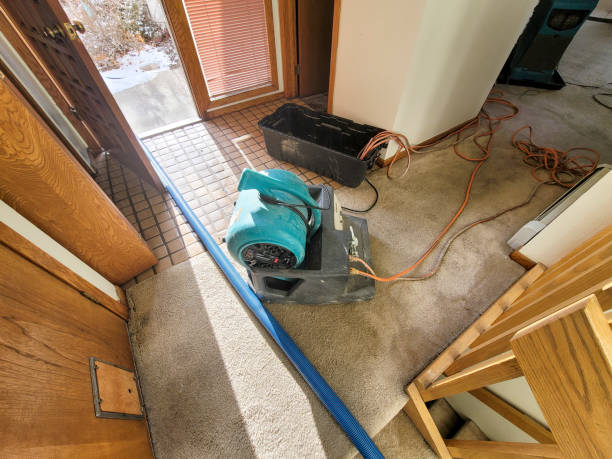 Best Ceiling water damage repair  in Richmond, MI