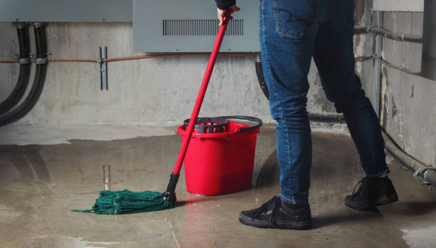 Best Flooded house restoration  in Richmond, MI