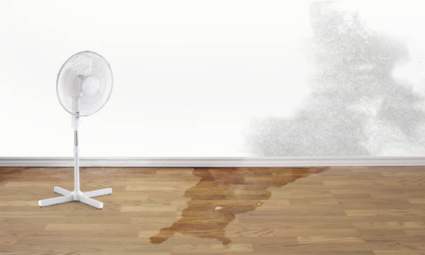 Best Flood restoration services  in Richmond, MI