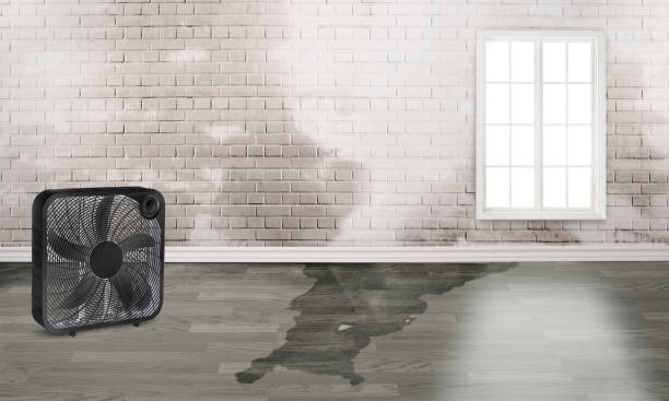 Best Sewage cleanup and water damage restoration  in Richmond, MI