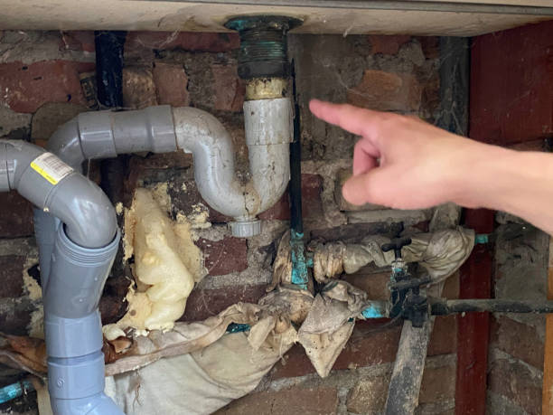 Best Basement water damage restoration  in Richmond, MI