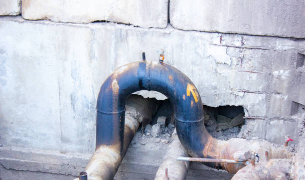 Best Carpet water damage restoration  in Richmond, MI